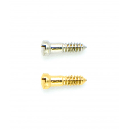 1.00 mm Diameter, Half Thread - Nose Pad Screws