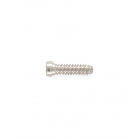 1.30 mm Diameter - Eyewire Screws (Silver)