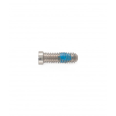 1.50 mm Diameter - Eyewire Screws (Silver)