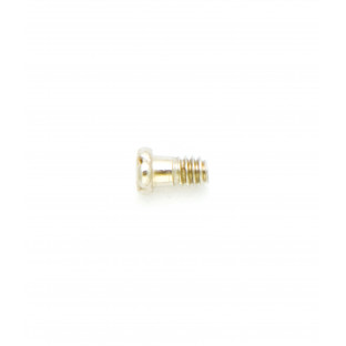 1.35 mm Diameter - Temple Screws (Thin Frame) - Silver