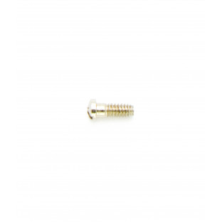 1.20 mm Diameter - Special Screws For Repair