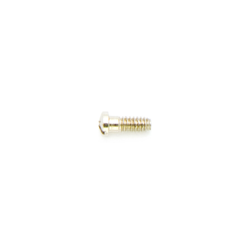 1.20 mm Diameter - Special Screws For Repair