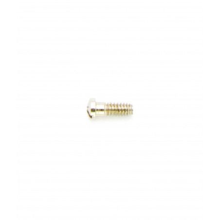 1.20 mm Diameter - Special Screws For Repair