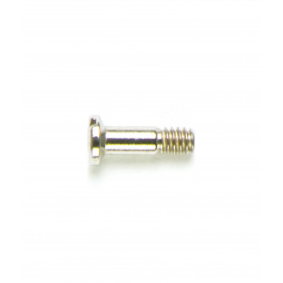 1.60 Diameter - Special Screws For Repair