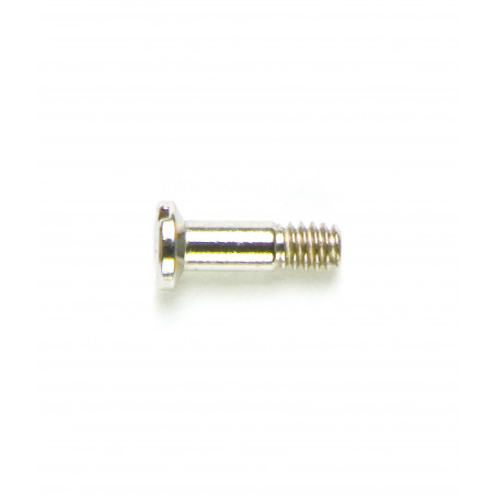 1.60 Diameter - Special Screws For Repair