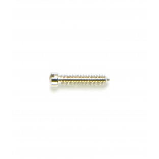 1.30 mm Diameter - Special Screws For Repair