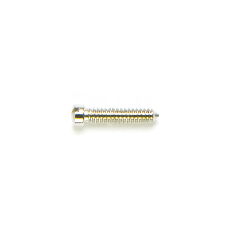 1.30 mm Diameter - Special Screws For Repair