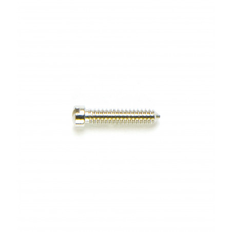 1.30 mm Diameter - Special Screws For Repair