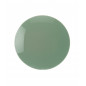 Medium Grey-Green