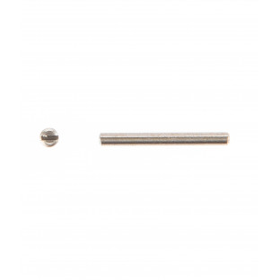 Spare Lever Pins & Screws