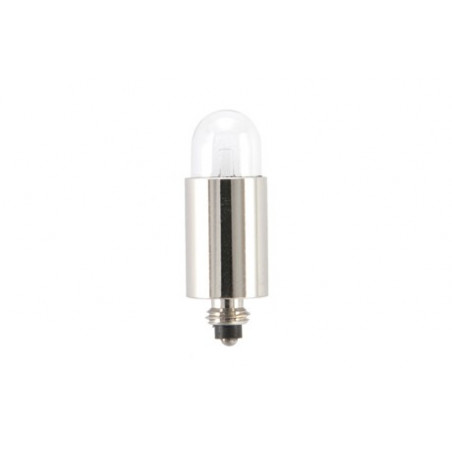 Neitz Light Bulb